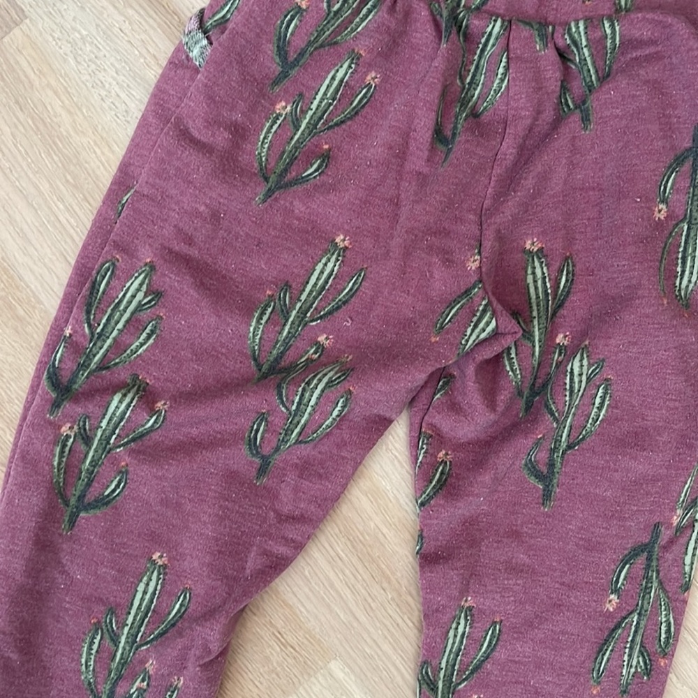 PixieLane Cactus set - Picture 6 of 7